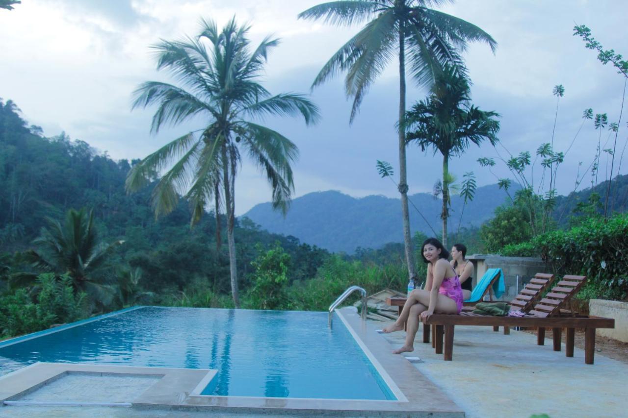 Rainforest Mount Lodge